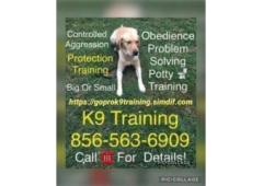 All Breeds 856-563-6909 K9 Training