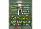 K9 Trainer For 856-563-6909